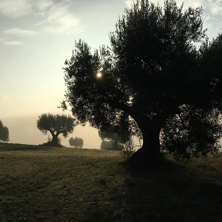 Historic Farmhouse On The Hills A Step Away From The Seaside Of Senigallia *