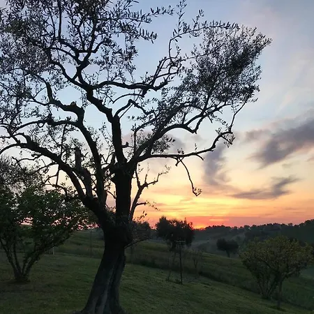 Historic Farmhouse On The Hills A Step Away From The Seaside Of Senigallia Hébergement de vacances Senigallia